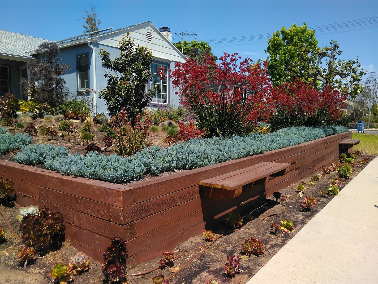 Raised Planter Front Landscape project