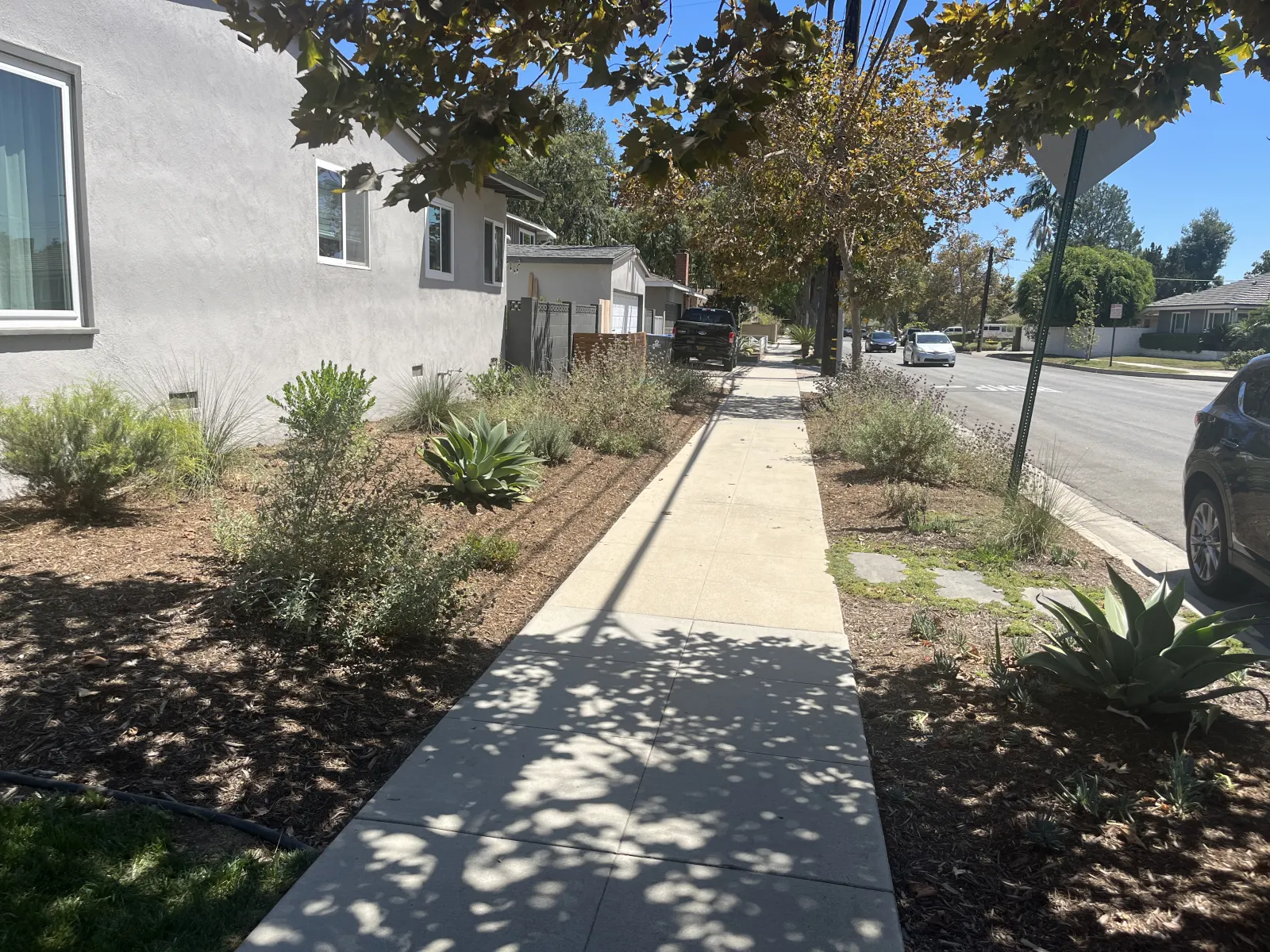 Drought-Tolerant Planting and Sidewalk Landscaping in Orange County project