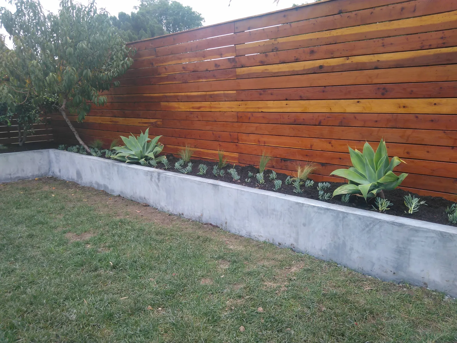 Modern Tiered Backyard Planting Design in Costa Mesa project